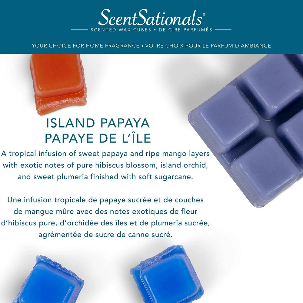 ScentSationals Scented Wax Cubes - Island Papaya, 2.5 oz (70.9 g)