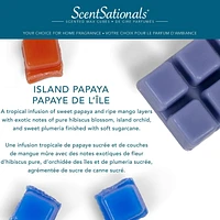 ScentSationals Scented Wax Cubes - Island Papaya, 2.5 oz (70.9 g)