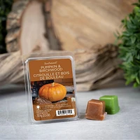 ScentSationals, Cubes de cire parfumés - Citrouille et bois de bouleau 2.5 oz (70.9 g)