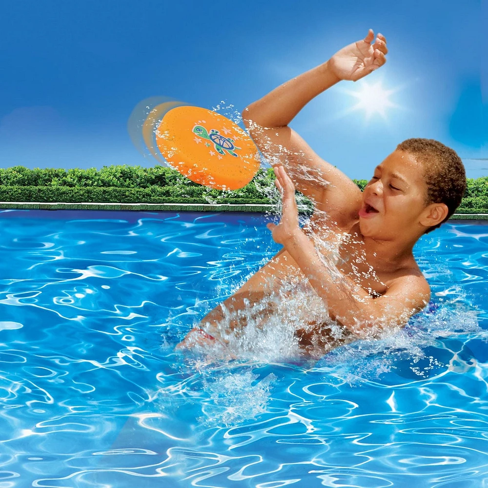 Play Day Turtle Disc 02527