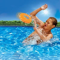 Play Day Turtle Disc 02527