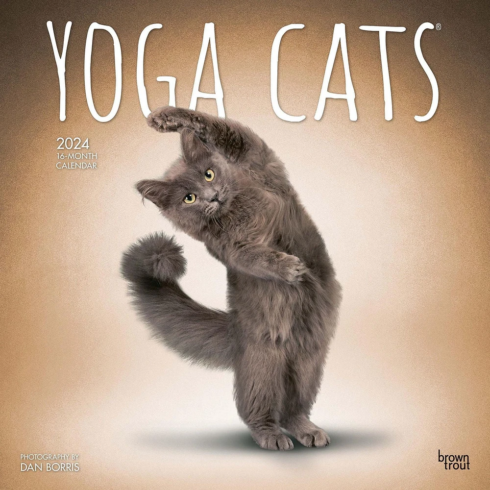 BrownTrout Yoga Cats OFFICIAL 2024 12x24 Inch Square Wall Calendar, 9781975467012