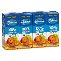 Rubicon Mango & Apple 'No Sugar Added' 100% Juice Blend, 4 x200 mL