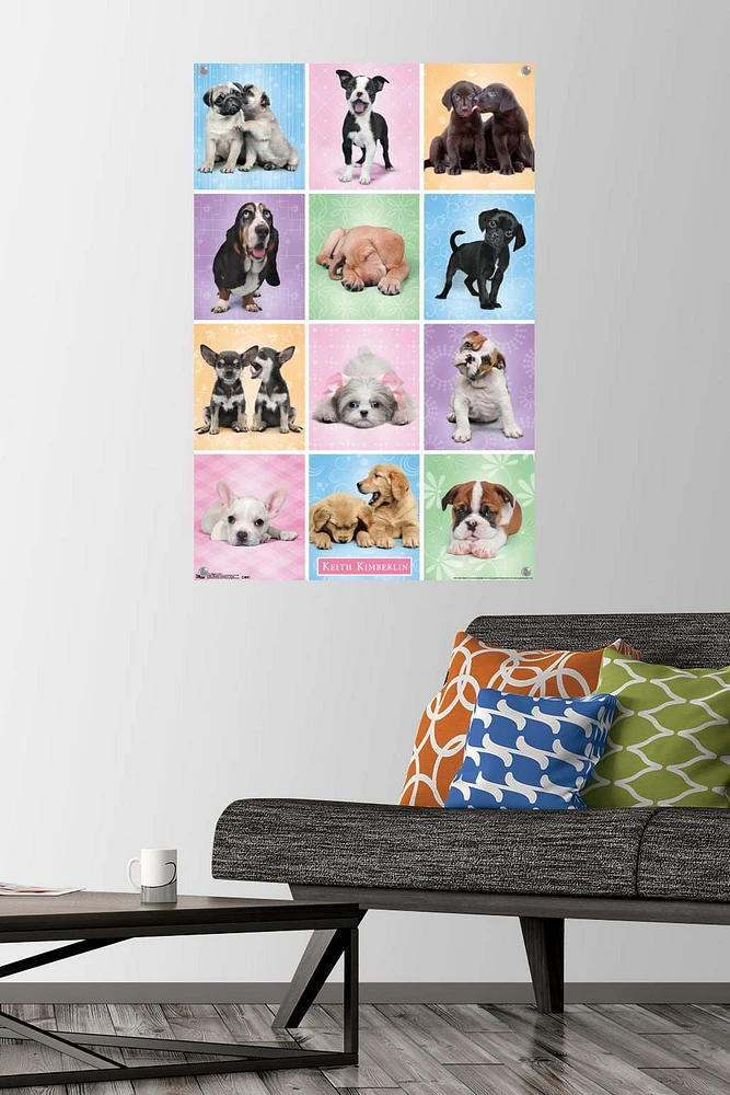 Keith Kimberlin - Puppies - Cuties Grid Wall Poster, 22.375" x 34"