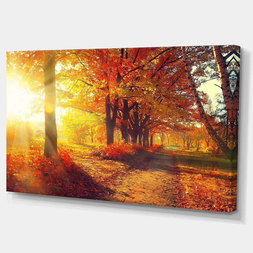 Designart Arbres d'automne dans les rayons du soleil Art mural sur toile