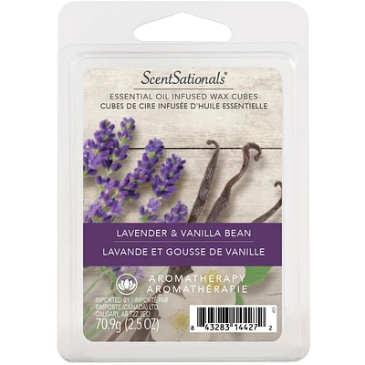 Cubes de cire parfumée ScentSationals - Lavande & Vanille 2,5 fois (70,9 g)