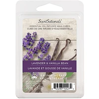 ScentSationals Scented Wax Cubes - Lavender & Vanilla Bean, 2.5 oz (70.9 g)