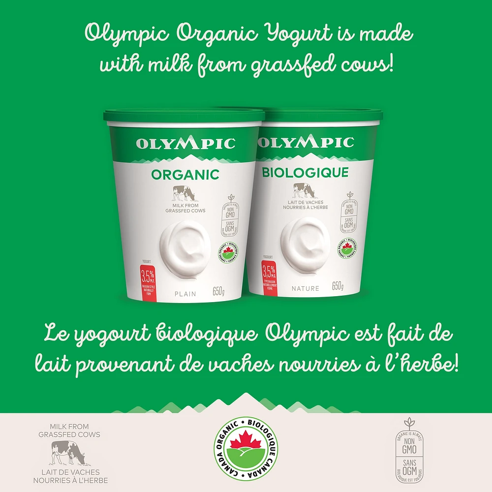 Olympic Organic Plain Yogurt 3.5%, 650g