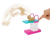 Barbie – Dreamhouse Adventures – Poupée Nageuse et accessoires