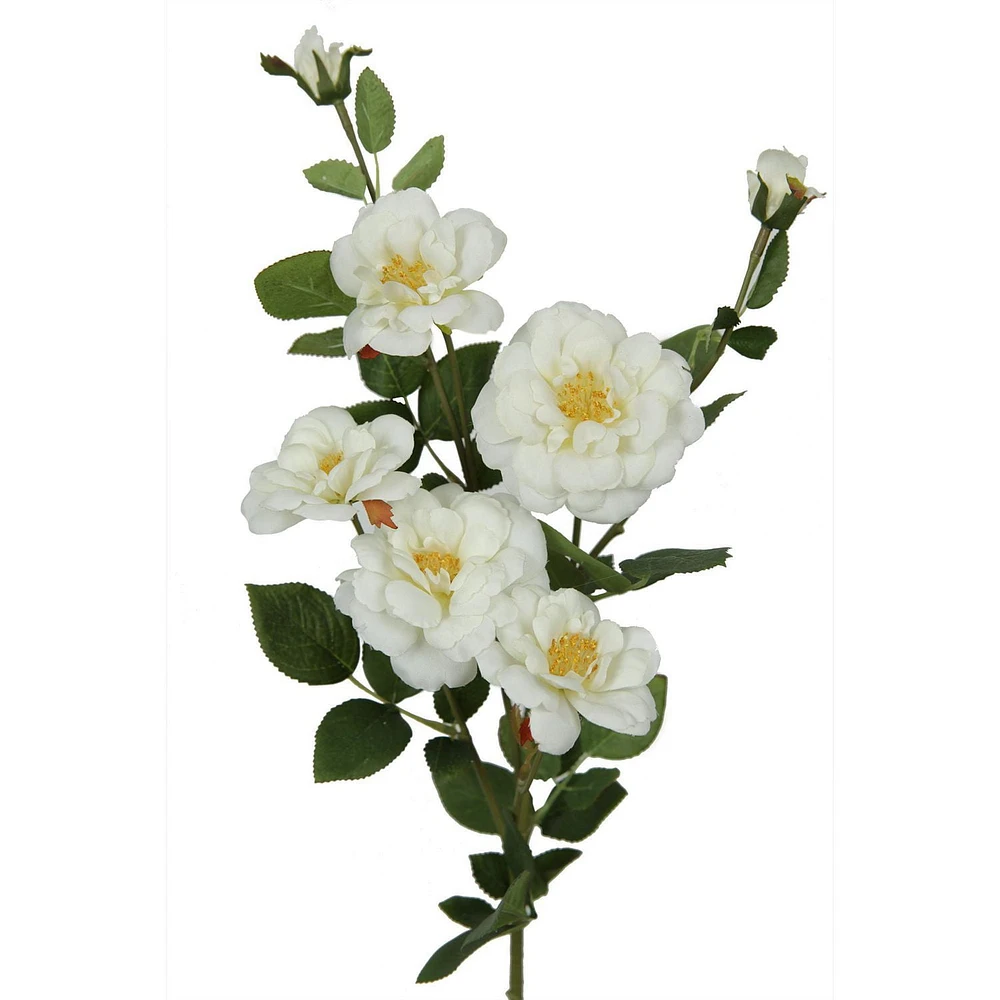 Rose Islandaise 28" Danson Decor