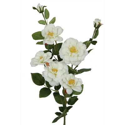 Rose Islandaise 28" Danson Decor