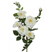 Rose Islandaise 28" Danson Decor