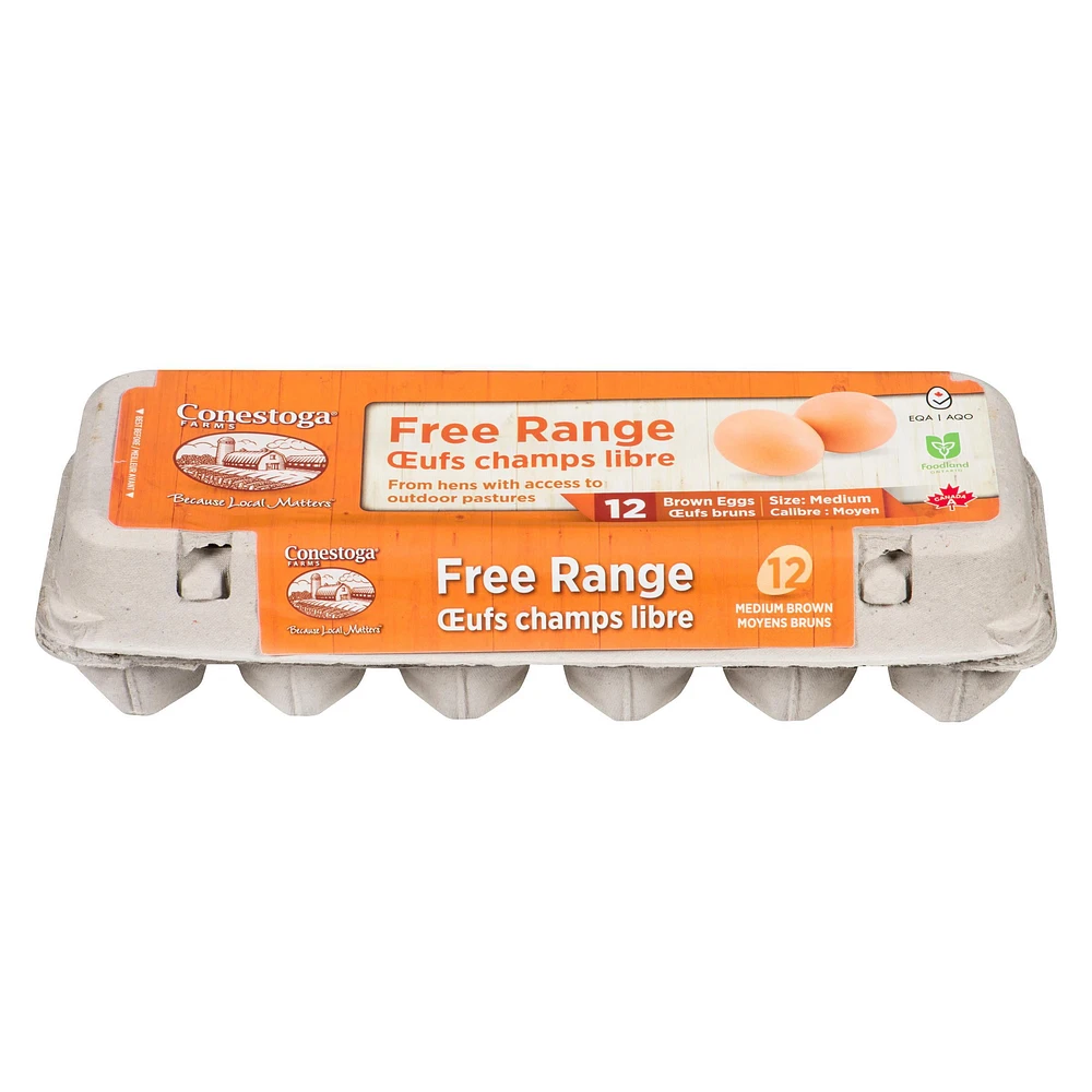 Conestoga Farms Free Range Medium Brown Eggs, 12 count