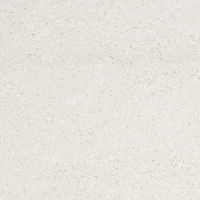 SAFAVIEH Polar Abbot Carlene Tapis Peluche Shag