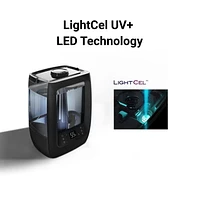 WINIX L200 2 Gallon Ultrasonic Humidifier with LightCelTM Technology
