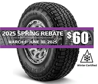 NEXEN Roadian ATX LT33X12.50R22 F/12PLY BSW