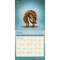 Chats de Yoga 2023 Square FRENCH BTCA