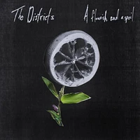 The Districts - A Flourish and a Spoil (Vinyl LP) (vinyl)