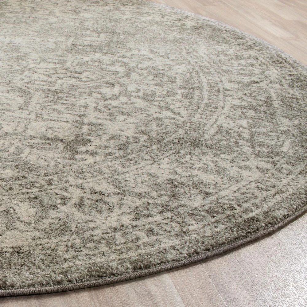 Safavieh Evoke Trena Traditional Area Rug
