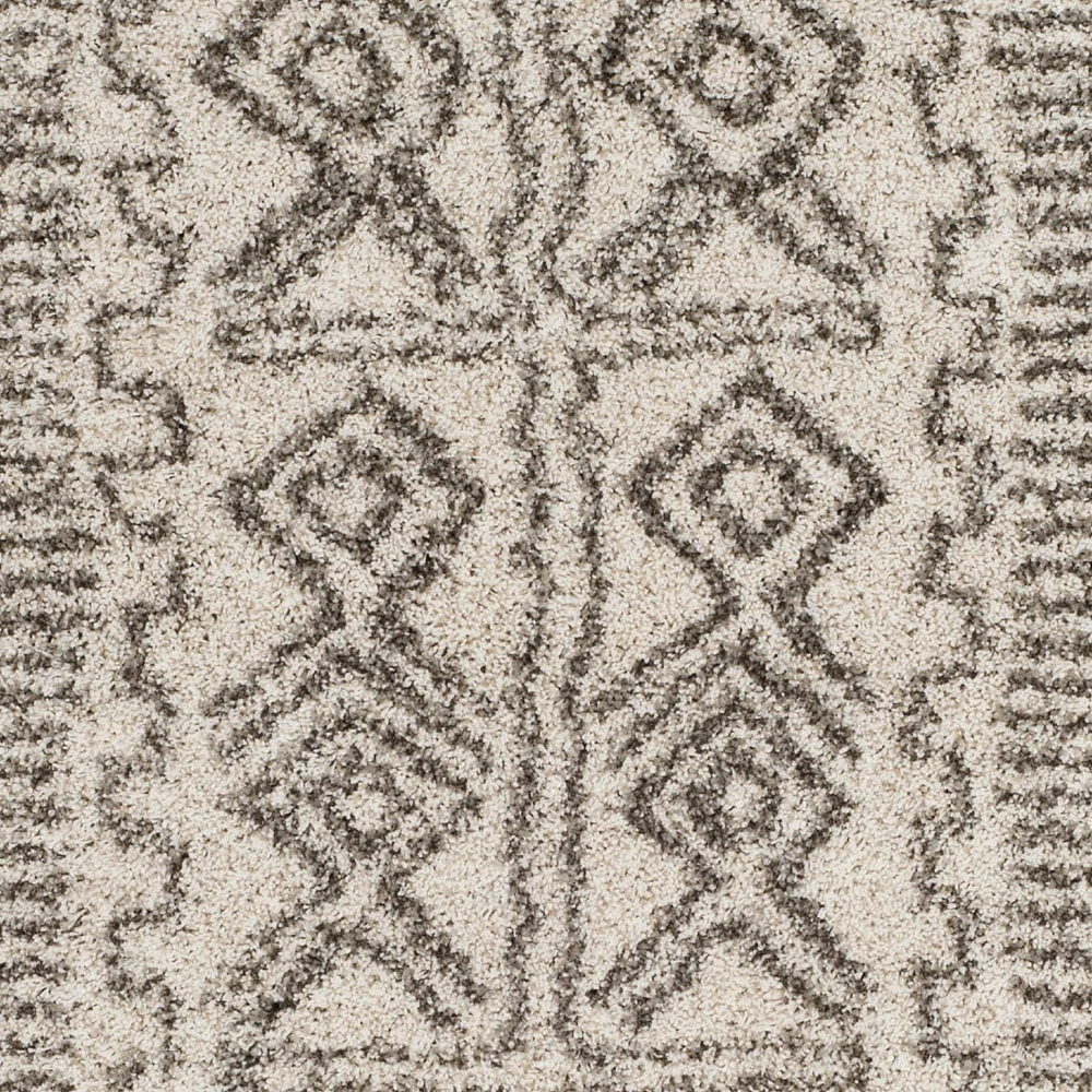 SAFAVIEH Hudson Raphael Contemporary Shag Area Rug