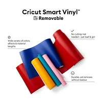 Cricut Vinyle intelligent amovible VDRX blanc 12 pi Vinyle intelligent amovible VDRX blanc 12 pi