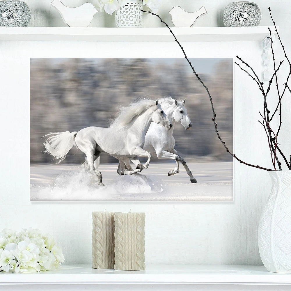 Designart Two White Horse Canvas Wall Art
