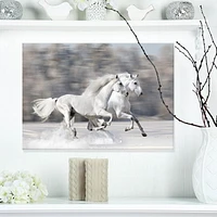 Designart Two White Horse Canvas Wall Art