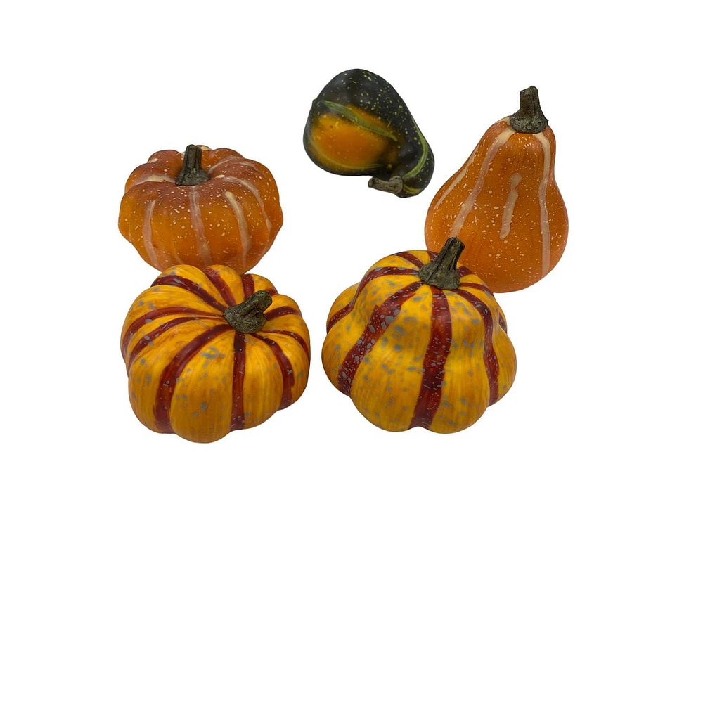 Way to Celebrate Orange & Green Baged Mini Pumpkin and Gourde 5pc
