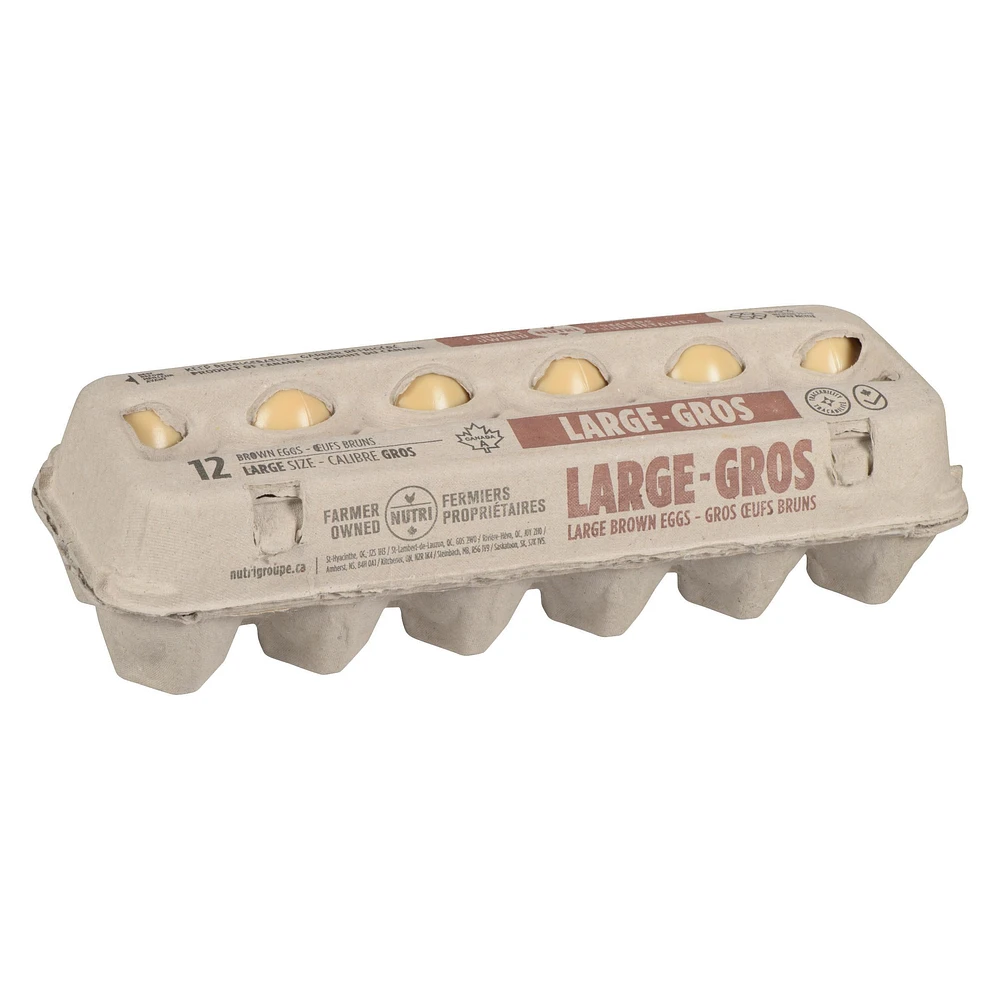 Nutri Large Brown Eggs, 12 count