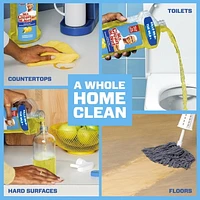 Mr. Clean Antibacterial Multi Surface Cleaner with Summer Citrus Scent, Disinfectant, All Purpose Cleaner, 1.21L