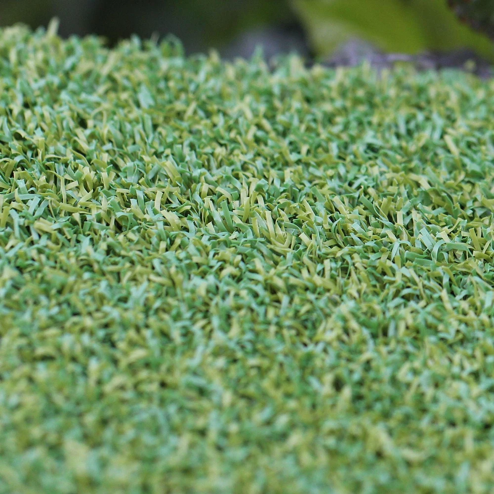 AllGreen Pacific Putting Golf professionnel professionnel de