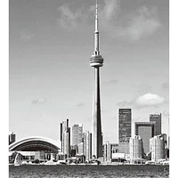 Dragon Blok Architect -The CN Tower