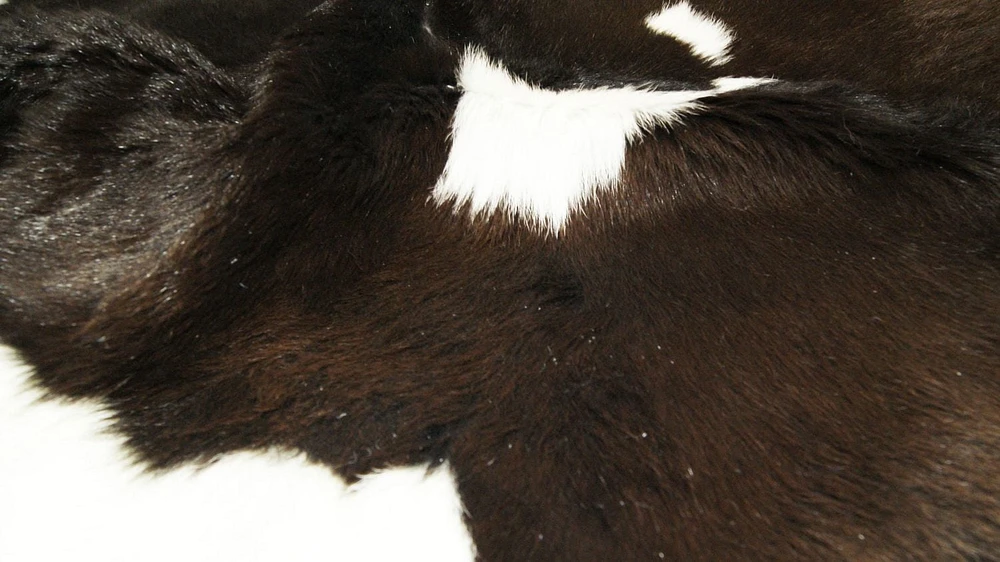 H-Natural Calfskin Rug