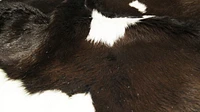 H-Natural Calfskin Rug