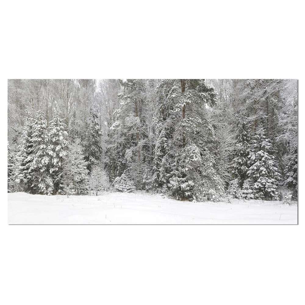 Designart Panorama brumeux de la forêt d'hiver Art mural sur toile