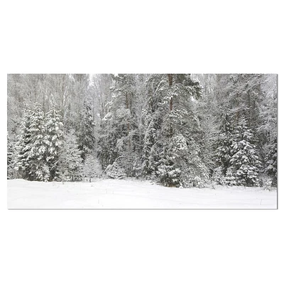 Designart Panorama brumeux de la forêt d'hiver Art mural sur toile