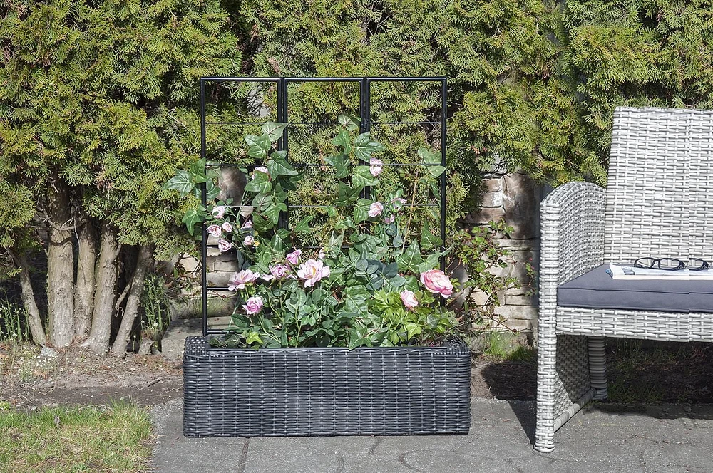 Jardinière avec treillis Grapevine en osier synthétique, noir mat