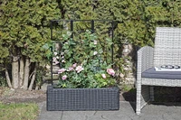 Jardinière avec treillis Grapevine en osier synthétique, noir mat