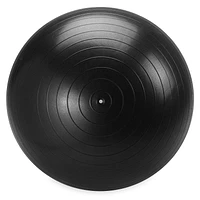 Reebok Delta 75 cm Large Weighted Stability Ball, Pump Included, Various sizes available