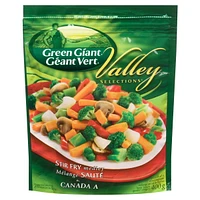Mélange De Légumes Sautés Valley Selections. Un Excellent Sauté Prêt En 8 Minutes Ou Moins Mélange De Légumes Sautés GG VS
