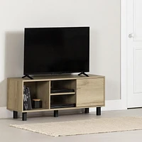TV Stand with Door from the collection Octave South Shore