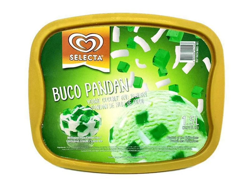 Selecta Buko Pandan Ice Cream