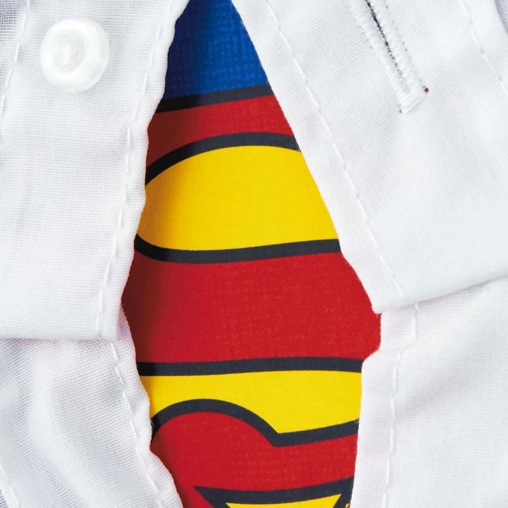Carte de la fête des Pères pour papa – Signature de Hallmark (Superman)