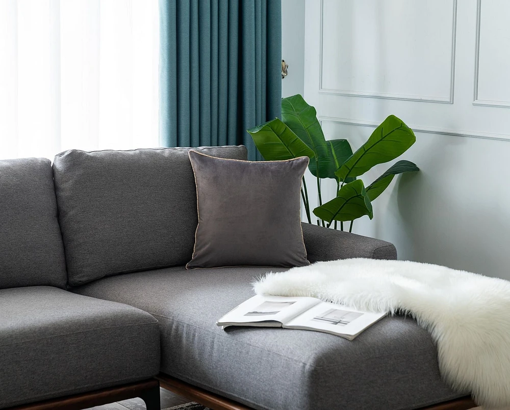 Gouchee Home Solid Velvet Coussin