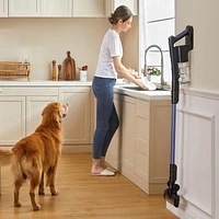 Eureka RapidClean Lightweight Cordless Vacuum with Lithium-ion Battery, Whole Home Cleaning