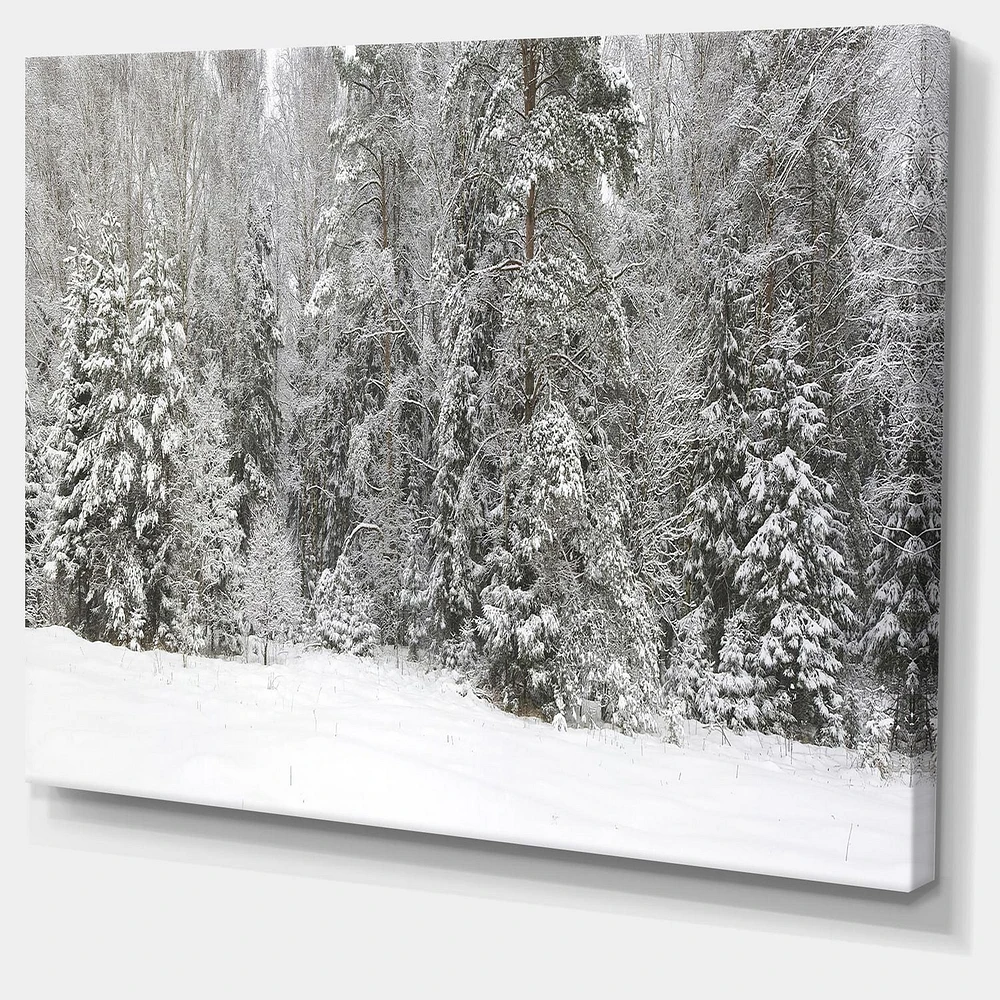 Designart Panorama brumeux de la forêt d'hiver Art mural sur toile
