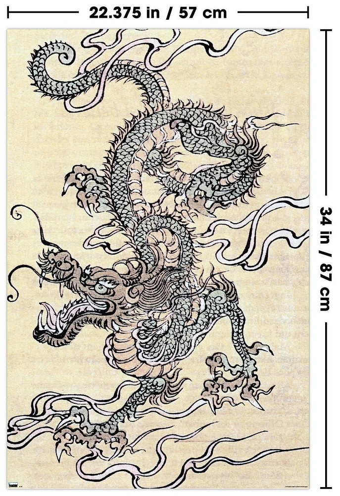Japanese Dragon Wall Poster, 22.375" x 34"