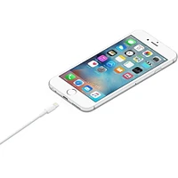 Câble Lightning vers USB Apple (2 m)