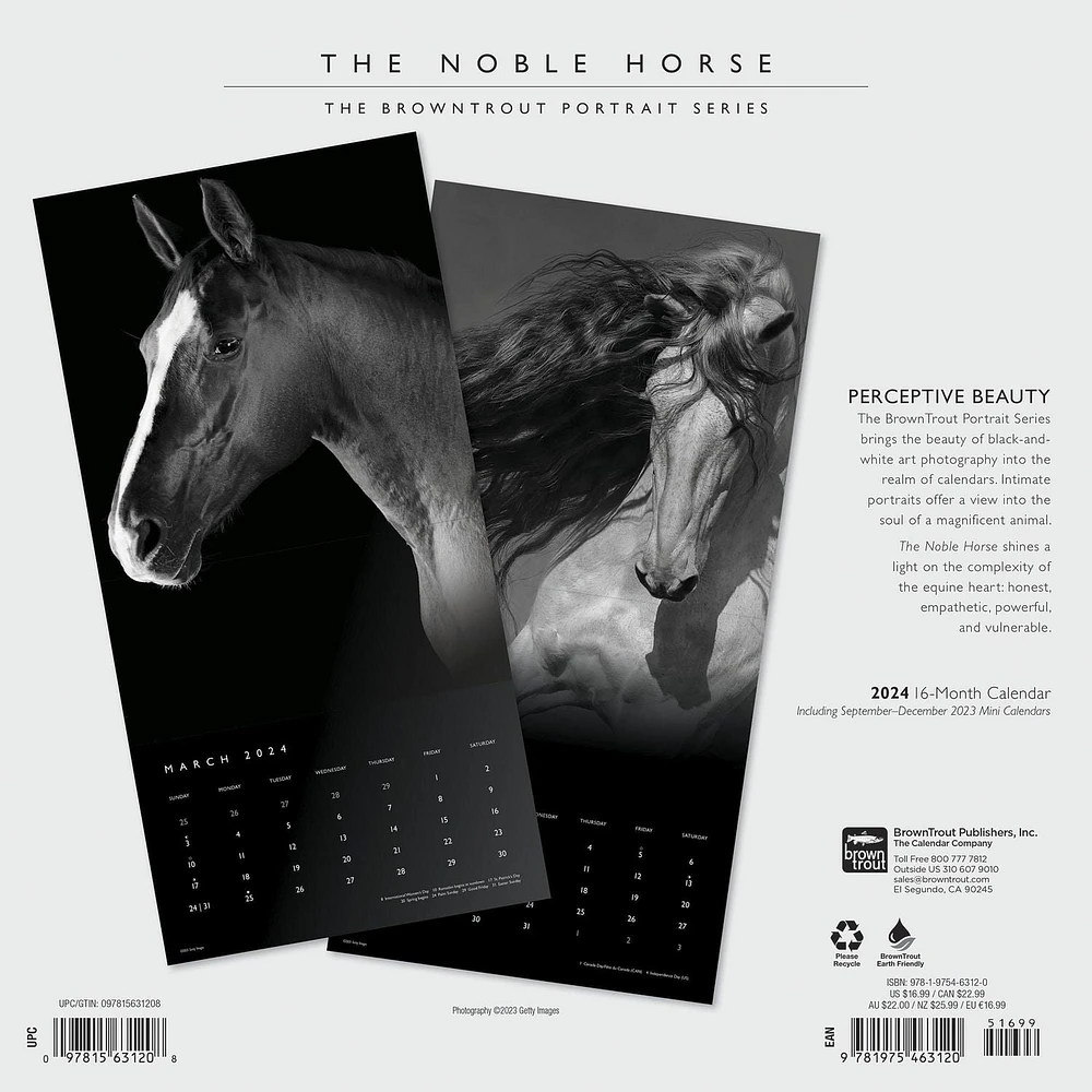 BrownTrout The BrownTrout Portrait Series: The Noble Horse 2024 12x24 Inch Square Wall Calendar, 9781975463120