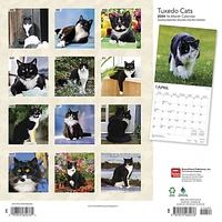 BrownTrout Tuxedo Cats 2024 12x24 Inch Square Wall Calendar, 9781975465476